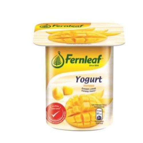 FERNLEAF LOW FAT YOGURT MANGO 110G