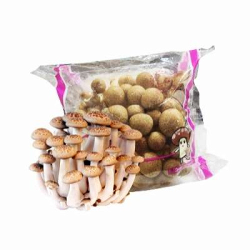 CN BROWN SHIMEJI MUSHROOM 150G