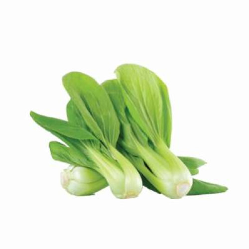 CN SHANGHAI PAK CHOY 200G