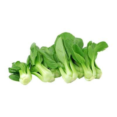 CN BABY PAK CHOY 200G