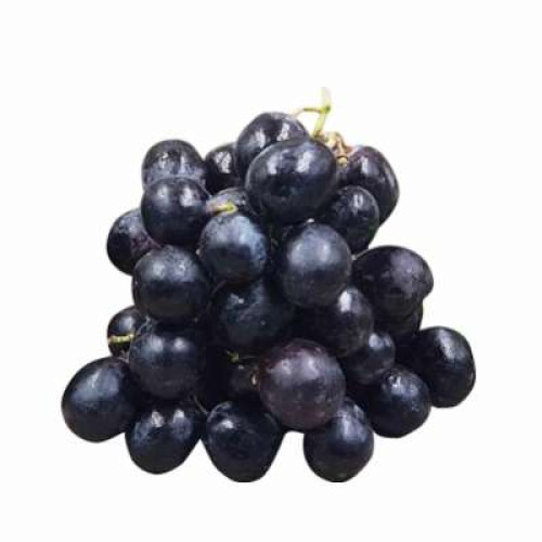 SA BLACK SEEDLESS GRAPE 500G