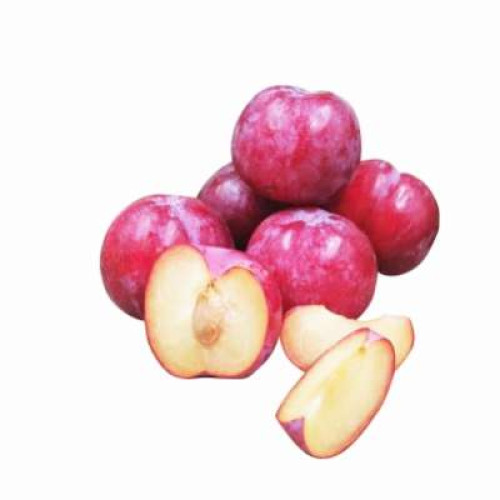 SA RED PLUM 500G