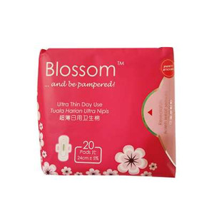 BLOSSOM DAY ULTRA THIN WING 20'S