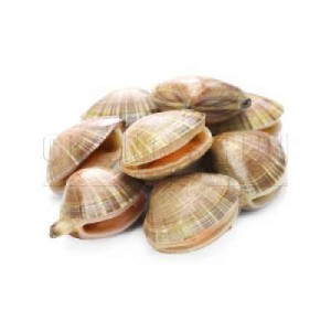 ASARI CLAM 500G