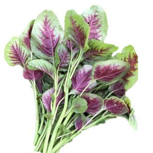 BAYAM MERAH 350G BAYAM MERAH 350G