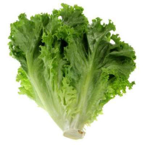 LETTUCE 250G LETTUCE 250G