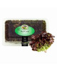 GENTING GARDEN RED CORAL LETTUCE 2PCS
