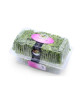 GENTING GARDEN CURLY CRISPY LETTUCE 2PCS