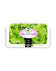 GENTING GARDEN BABY BUTTER HEAD LETTUCE 2PCS