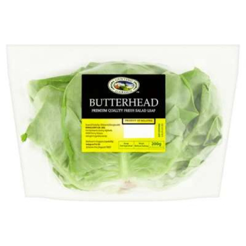 GENTING GARDEN BUTTER HEAD LETTUCE 200G