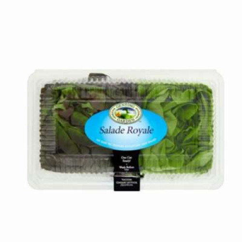 GENTING GARDEN SALADE ROYALE LETTUCE CLAM 2PCS