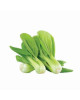 CN SHANGHAI PAK CHOY 200G