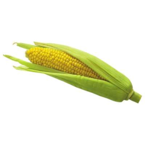 SWEET CORN-PCS