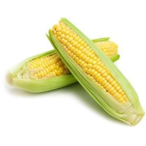 SWEET CORN-PCS