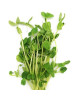 PEA SPROUT 150G