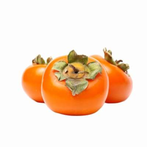 KOREA PERSIMMON-PCS