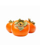 KOREA PERSIMMON-PCS