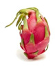 VIETNAM DRAGON FRUIT-PCS