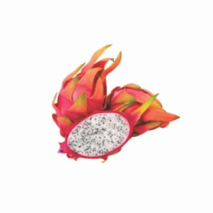 VIETNAM DRAGON FRUIT-24'S PCS VIETNAM DRAGON FRUIT-24'S PCS