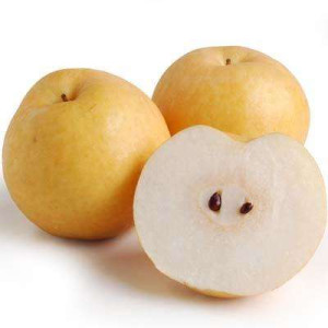 KOREA HUA SHAN  PEAR-30'S PCS KOREA HUA SHAN  PEAR-30'S PCS