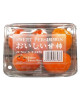 CN PERSIMMON-TRAY