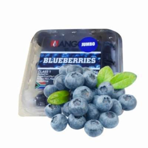 SA BLUEBERRY 125G