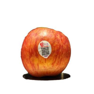 NZ DIVA APPLE 70S-80S - PCS