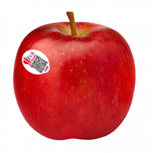 NZ DIVA APPLE 70S-99S - PCS