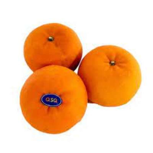 CN HONEY MURCOTT ORANGE - PKT