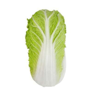 CN WONGBOK(1.3KG-1.5KG)(E) CN WONGBOK(1.3KG-1.5KG)(E)