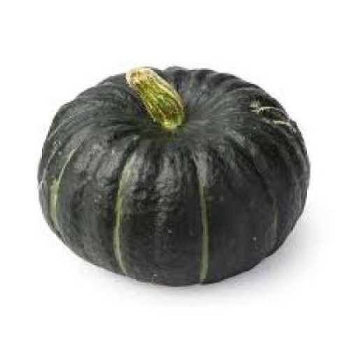 CN BEI BEI PUMPKIN - PCS