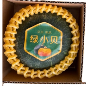 CN BEI BEI PUMPKIN - PCS