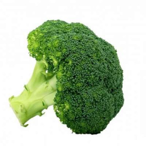 CN BROCCOLI - PCS CN BROCCOLI - PCS