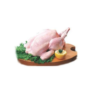 FRESH CHIC SUPER (1.2KG-1.5KG)(KCH E)