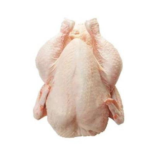 FRESH CHIC SUPER (1.2KG-1.5KG)(KCH E)