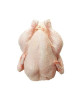 FRESH CHIC SUPER (1.2KG-1.5KG)(KCH E)
