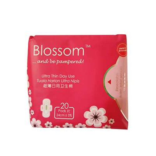 BLOSSOM DAY ULTRA THIN WING 20'S (BL01)
