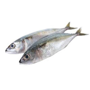 FINEST IKAN KEMBONG 1KG