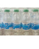 BLUE ICE NATURAL MINERAL WATER 500ML