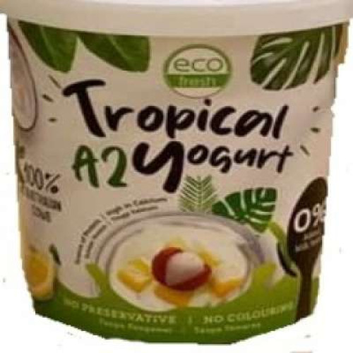 ECO FRESH A2 YOGURT-TROPICAL 