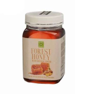 DAY 2 DAY FOREST HONEY WITH BENTONG GENGER 500G