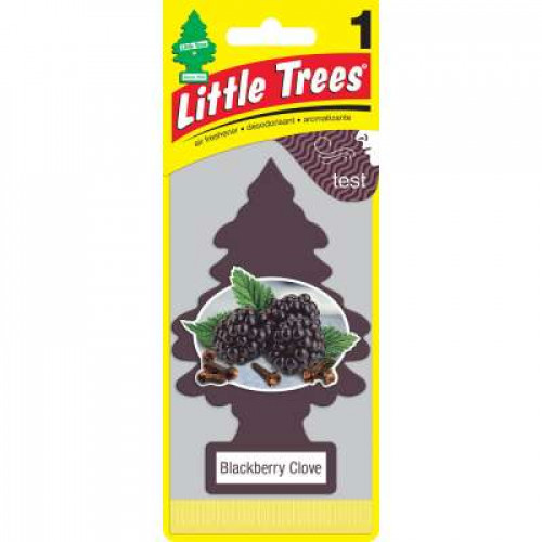 LITTLE TREE BLACK BERRY CLOVE 1S