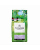 TAYLORS LAZY SUNDAY GROUND COFFEE 227G 