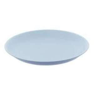 SIS0951-10'' FLAT PLATE 10''